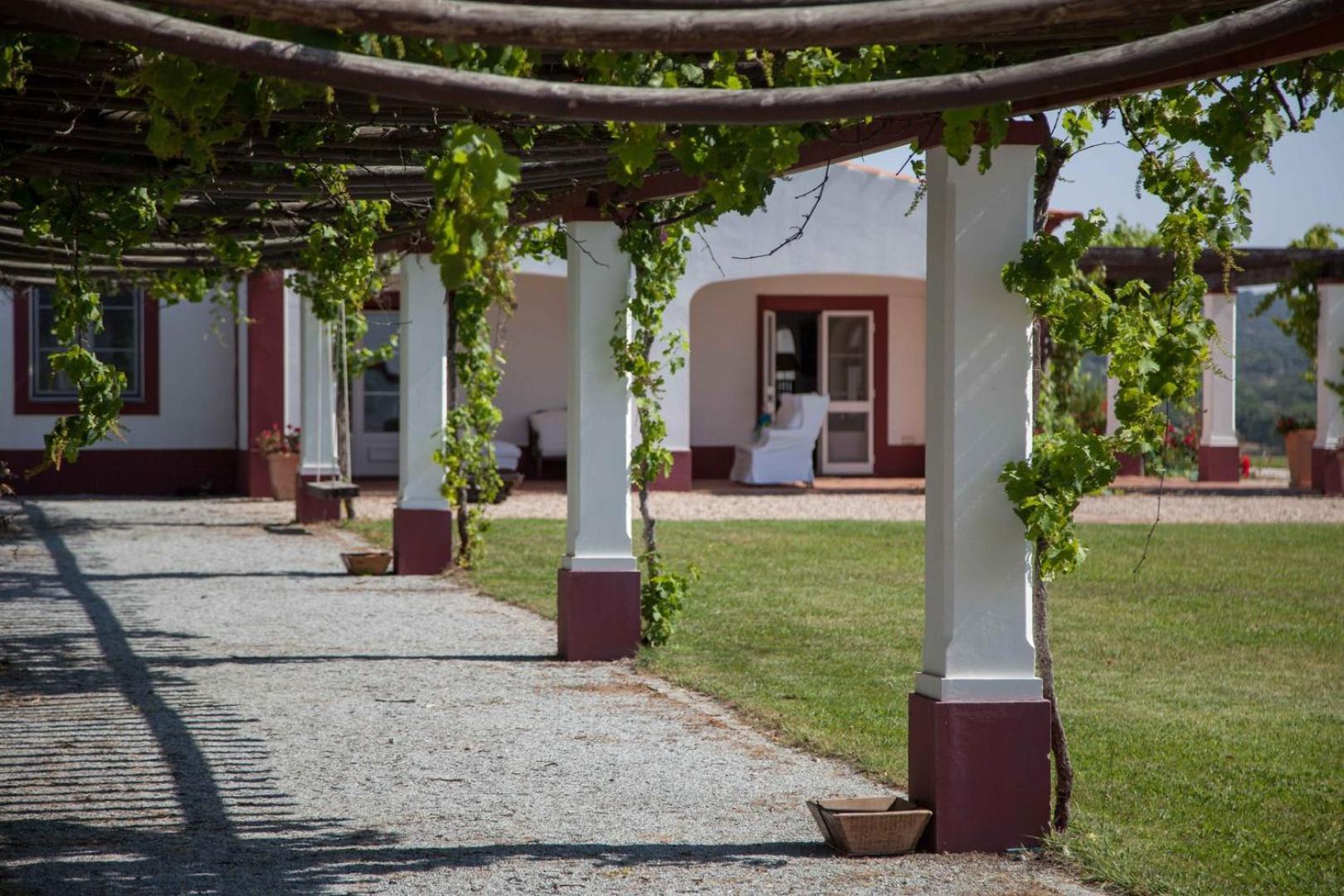 Villa Stunning Mansion In Sao Cristovao Montemor-o-Novo Exterior foto
